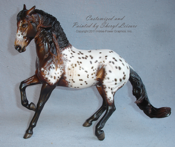 Tiger Appaloosa