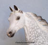 CM Resin "Harts Afire" Dapple Grey Arabian Horse Model